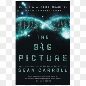 Ponytail Culture Club - Sean Carroll The Big, HD Png Download - ponytail png