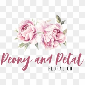 Garden Roses, HD Png Download - peonies png