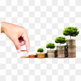 Download Investing Free Png Image - Fuentes Financiamiento A Corto Plazo, Transparent Png - money tree png