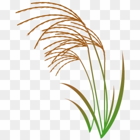 Japanese Silver Grass Clipart - ススキ イラスト フリー, HD Png Download - japanese png