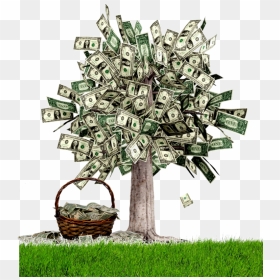 Money Creator, HD Png Download - money tree png
