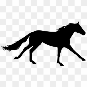 Running Horse Silhouette Png - Clipart Horse Galloping Silhouette, Transparent Png - running silhouette png