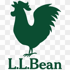 Bean Trail Running Festival At Pineland Farms - Ll Bean Logo Png, Transparent Png - bean boozled png