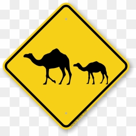 International Antarctic Centre, HD Png Download - highway sign png