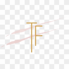 Logo Tf 19 - Horizontal Bar, HD Png Download - beauty png