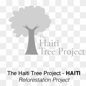 Transparent Haiti Flag Png, Png Download - haiti flag png