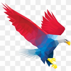 Kite, HD Png Download - dunce hat png