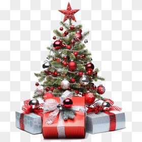 Tesco Christmas Trees Lights Decoration Tree Decorations - Christmas Tree Decorations Png, Transparent Png - money tree png