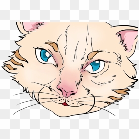 How To Draw Cat Eyes - Cat Yawns, HD Png Download - cat eyes png