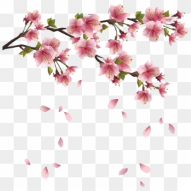 Flower Spring Branch Clip Art - Spring Png, Transparent Png - pink rose petals png