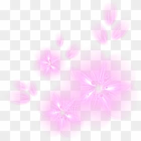 Ftestickers Flowers Light Glowing - Orchid, HD Png Download - glowing light png