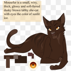 Mousefur By Purespiritflower - Mousefur From Warrior Cats, HD Png Download - cat eyes png