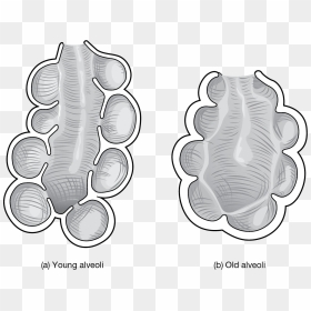 Seahorse, HD Png Download - barry b benson png