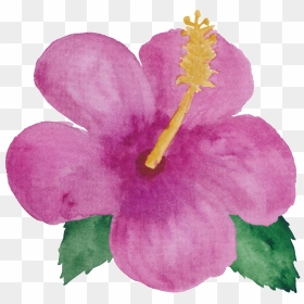 Pink Flower Little Princess Transparent - Watercolor Little Flowers Png, Png Download - pink rose petals png