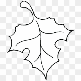 Leaf Template Png - Art Stencils Simple, Transparent Png - leaf outline png