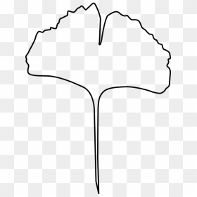 Leaf Outline Clip Art Black And White Clipart - Maidenhair Tree, HD Png Download - leaf outline png