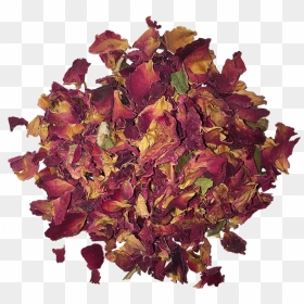 Autumn, HD Png Download - pink rose petals png