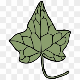 Outline, Drawing, Leaf, Cartoon, Template, Plant - Ivy Leaf Clip Art, HD Png Download - leaf outline png