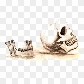 Skull, HD Png Download - dunce hat png