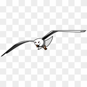 Seagull Clipart, HD Png Download - seagulls png