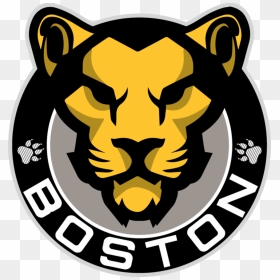 Image Result For Boston Pride Hockey Logo - Boston Pride Hockey Logo, HD Png Download - boston bruins logo png