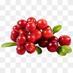 Thumb Image - Cranberry Transparent Background, HD Png Download - cranberry png