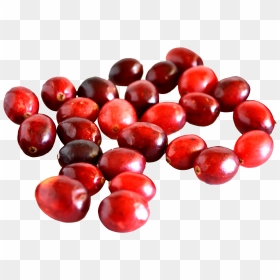 Cranberry - Transparent Cranberry Png, Png Download - cranberry png