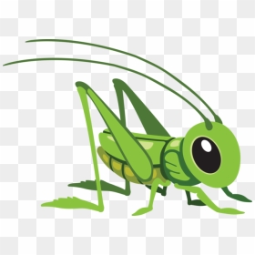 X Kb Pillang - Cartoon Grasshopper, HD Png Download - grasshopper png