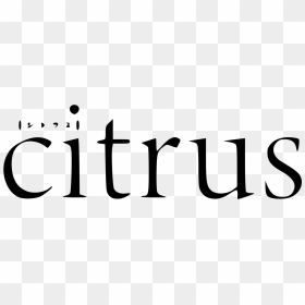 Citrus Wiki - Citrus Аниме Логотип Пнг, HD Png Download - anime logo png
