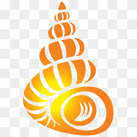 Bailey Matthews National Shell Museum - Bailey Matthews National Shell Museum Logo, HD Png Download - shell logo png