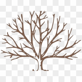 Dead Tree Clipart Tree Outline - Tree Branch Clipart Black And White, HD Png Download - leaf outline png