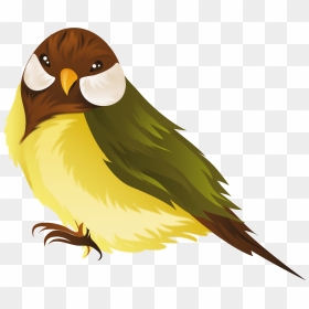 Bird Png - Cartoon Pet Bird Clipart, Transparent Png - cartoon bird png