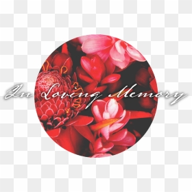 Mfc In Loving Memory Of - Artificial Flower, HD Png Download - in loving memory png