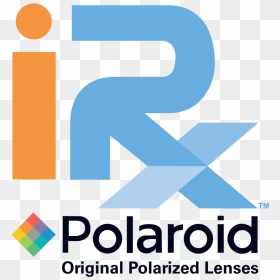 Polaroid - Graphic Design, HD Png Download - poloroid png