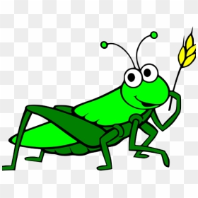 Clip Freeuse Download Grasshopper Clipart Cartoon - Transparent Grasshopper Clipart, HD Png Download - grasshopper png