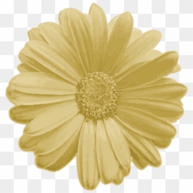 Real Flower Png , Png Download - Single Type Of Gerbera, Transparent Png - real flower png