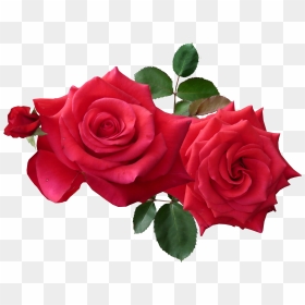 Good Friday Good Morning, HD Png Download - cut png