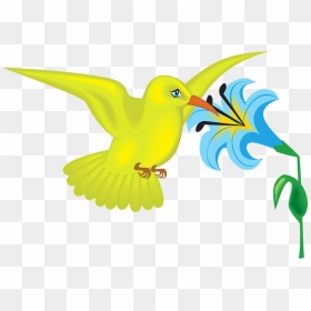 Transparent Cartoon Bird Png - Bird In Flower Clipart, Png Download - cartoon bird png