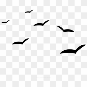 Seagulls Coloring Page - Gaivotas Png, Transparent Png - seagulls png