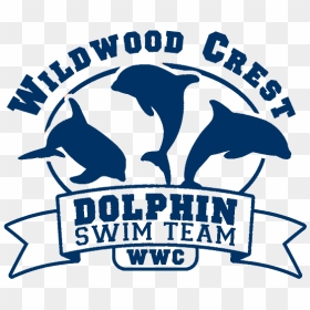 Wildwood Crest Dolphins Logo - Dolphin Swim Team, HD Png Download - dolphins logo png