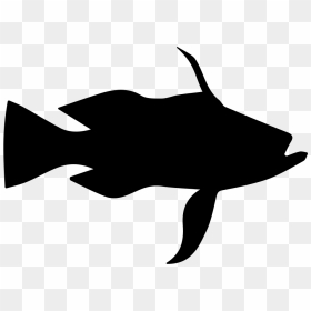 Longtail Bass Fish Shape - Clip Art, HD Png Download - bass fish png
