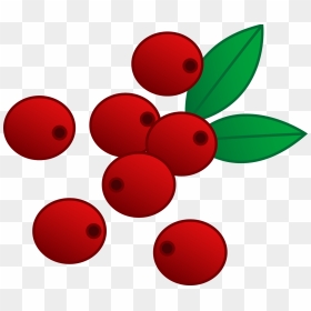 Thanksgiving Cranberry Clipart Graphic Free Download - Red Berries Clip Art, HD Png Download - cranberry png