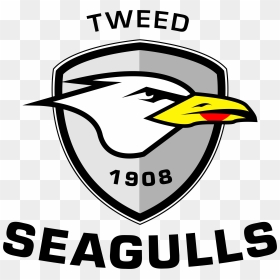 Tweed Seagulls, HD Png Download - seagulls png