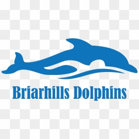 Briarhills Dolphins Swim Team Logo, HD Png Download - dolphins logo png