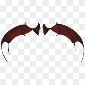 Type A By Wolverine041269 - Types Of Deamon Wings, HD Png Download - demon wings png
