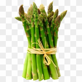 Asparagus Transparent Background - Asparagus Png, Png Download - asparagus png