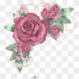 Flower Borders, Rose Pictures, Real Flowers, Beautiful - Pink And Silver Flower Border, HD Png Download - real flower png