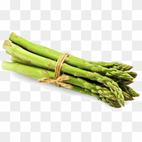 Asparagus Png File - Asparagus Png, Transparent Png - asparagus png