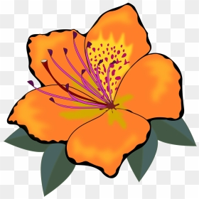 Clipart Of Flowers, HD Png Download - flor png