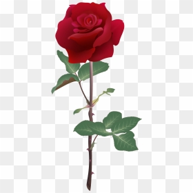 Rubyrose@2x - Ruby Rose Flowers, HD Png Download - ruby rose png